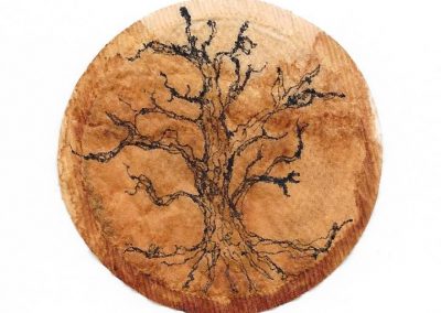 Teabag Tree